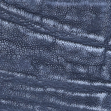 Elephant Gray Portfolio
