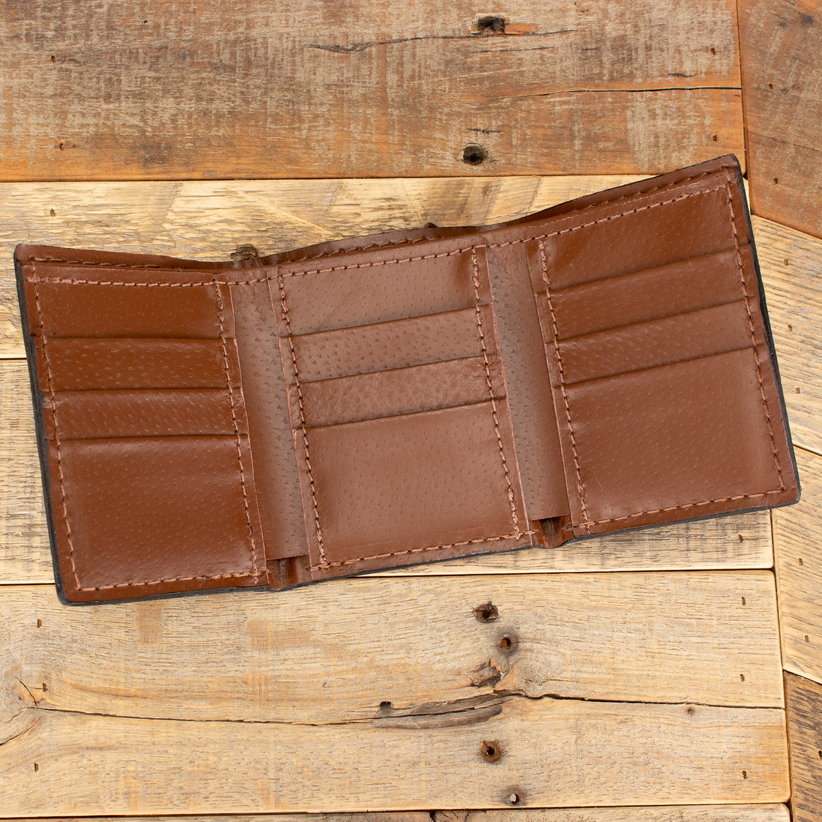 Lizard Brown Trifold