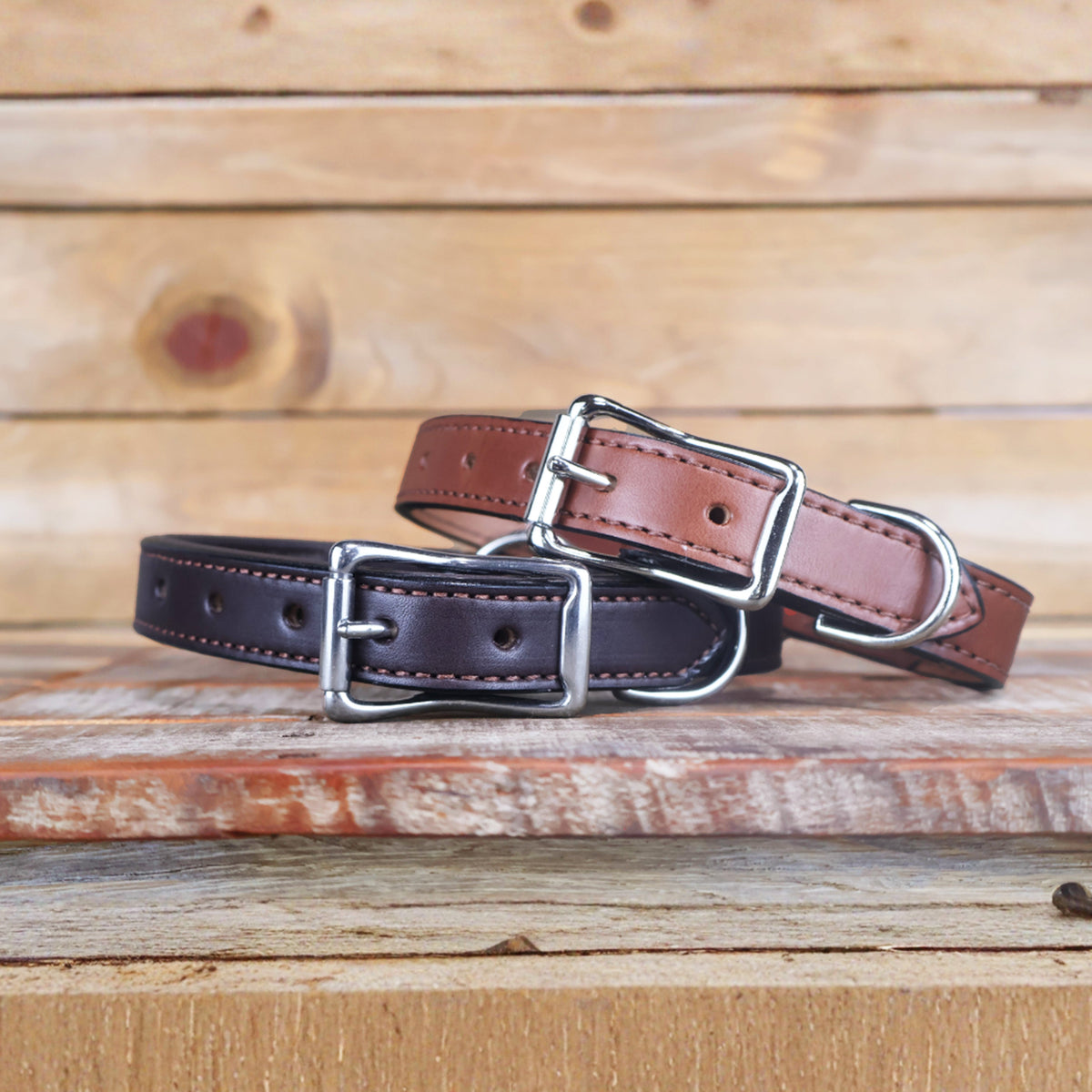 Premium Padded Center Ring Leather Dog Collar