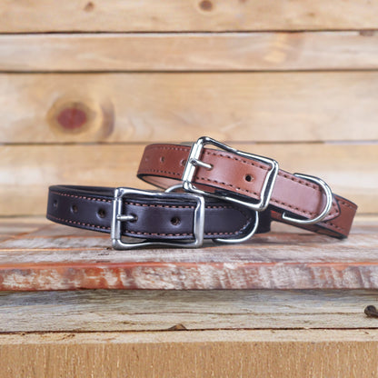 Premium Padded Leather Dog Collar
