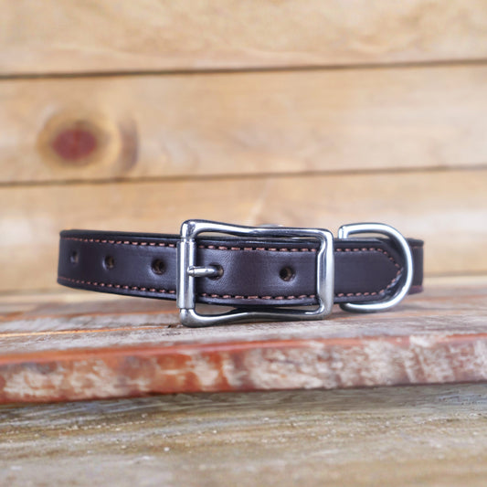 Premium Padded Leather Dog Collar