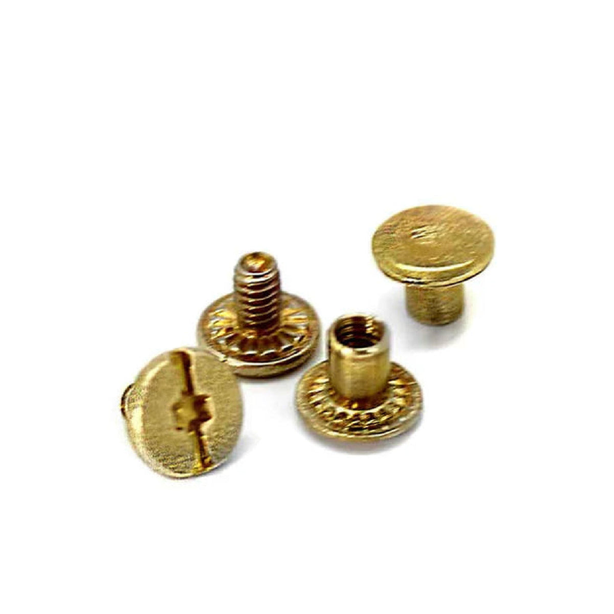Set of Chicago Screws (2 Pack) - Solid Brass